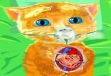 العاب جراحة القلب القط الزنجبيل